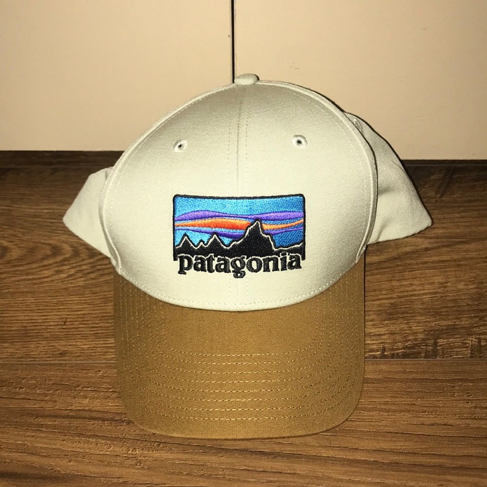 Patagonia SnapBack